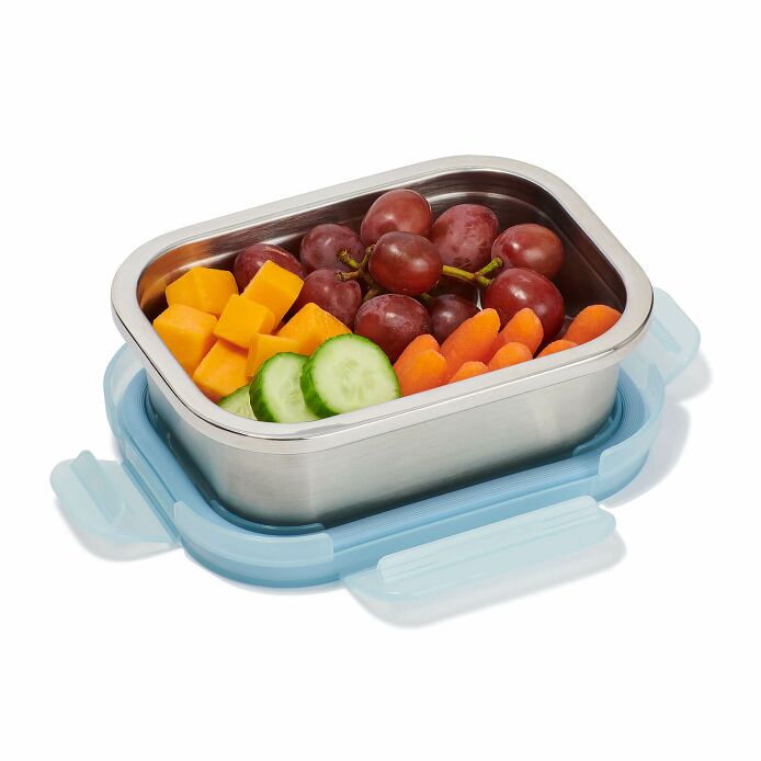 2-c-stainless-steel-food-container-b2 foca417-2-cup-food-container-rain-packed_1_1_1.jpg
